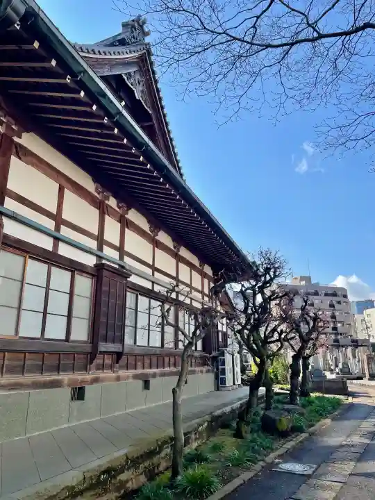 瑞円寺の{uncategorized: "未分類", other: "その他", undefined: "問題あり", building: "その他建物", grave: "お墓", sacred_gate: "鳥居", guardian: "狛犬", statue: "像", buddha: "仏像", history: "歴史", nature: "自然", garden: "庭園", animal: "動物", pagoda: "塔", temizu: "手水舎", mountain_gate: "山門・神門", sanctuary: "本殿・本堂", subordinate: "末社・摂社", art: "芸術", scenery: "景色", jizo: "地蔵", ema: "絵馬", goshuin: "御朱印", omikuji: "おみくじ", items: "授与品その他", amulet: "お守り", goshuincho: "御朱印帳", eats: "食事", festival: "お祭り", votive_dance: "神楽", shichigosan: "七五三参", wedding: "結婚式", experience: "体験その他", initially: "初詣", around: "周辺", anti_infection: "感染症対策"}