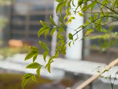 西方山極楽寺(岐阜県)