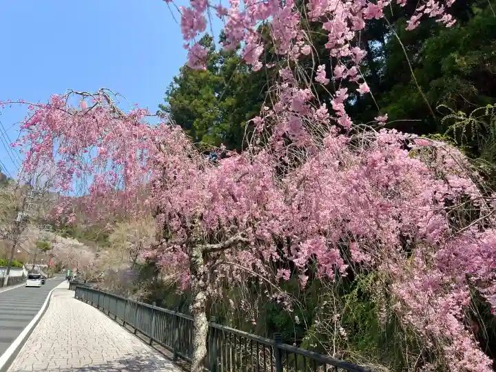 樋沢坊(山梨県)
