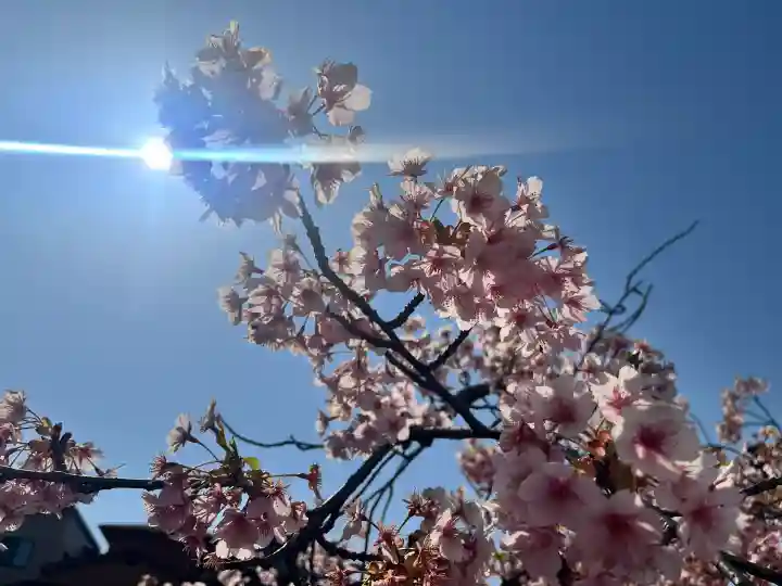 高福寺の{uncategorized: "未分類", other: "その他", undefined: "問題あり", building: "その他建物", grave: "お墓", sacred_gate: "鳥居", guardian: "狛犬", statue: "像", buddha: "仏像", history: "歴史", nature: "自然", garden: "庭園", animal: "動物", pagoda: "塔", temizu: "手水舎", mountain_gate: "山門・神門", sanctuary: "本殿・本堂", subordinate: "末社・摂社", art: "芸術", scenery: "景色", jizo: "地蔵", ema: "絵馬", goshuin: "御朱印", omikuji: "おみくじ", items: "授与品その他", amulet: "お守り", goshuincho: "御朱印帳", eats: "食事", festival: "お祭り", votive_dance: "神楽", shichigosan: "七五三参", wedding: "結婚式", experience: "体験その他", initially: "初詣", around: "周辺", anti_infection: "感染症対策"}