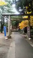 青山熊野神社の鳥居