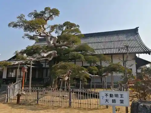 圓鏡寺の庭園