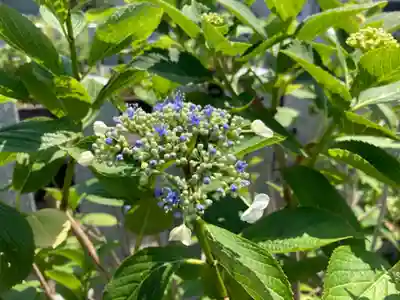 總社 和田八幡宮(福井県)