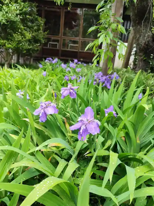 得浄明院(善光寺別院)(京都府)