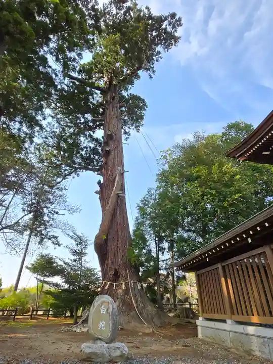 八幡宮(茨城県)