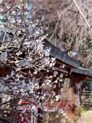 常宮神社(福井県)