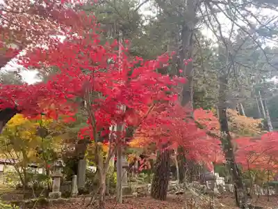 日蓮宗 安楽寺の自然