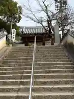 海龍寺の{uncategorized: "未分類", other: "その他", undefined: "問題あり", building: "その他建物", grave: "お墓", sacred_gate: "鳥居", guardian: "狛犬", statue: "像", buddha: "仏像", history: "歴史", nature: "自然", garden: "庭園", animal: "動物", pagoda: "塔", temizu: "手水舎", mountain_gate: "山門・神門", sanctuary: "本殿・本堂", subordinate: "末社・摂社", art: "芸術", scenery: "景色", jizo: "地蔵", ema: "絵馬", goshuin: "御朱印", omikuji: "おみくじ", items: "授与品その他", amulet: "お守り", goshuincho: "御朱印帳", eats: "食事", festival: "お祭り", votive_dance: "神楽", shichigosan: "七五三参", wedding: "結婚式", experience: "体験その他", initially: "初詣", around: "周辺", anti_infection: "感染症対策"}