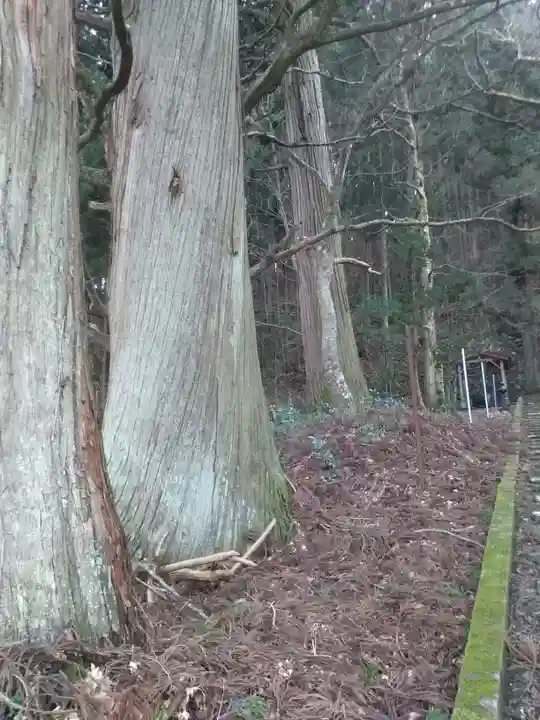 梅内神社の自然