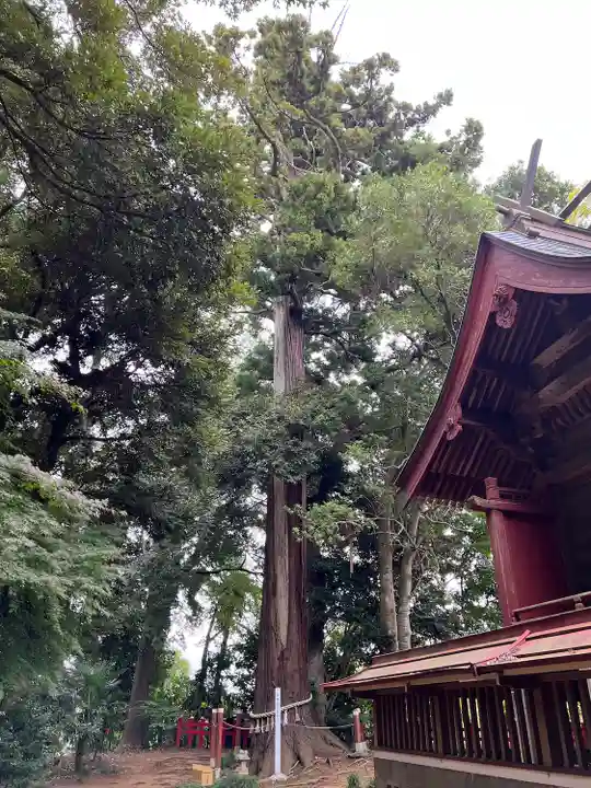 麻賀多神社奥宮(千葉県)