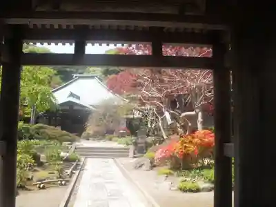 海蔵寺の山門・神門