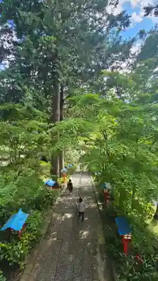 大善寺(山梨県)