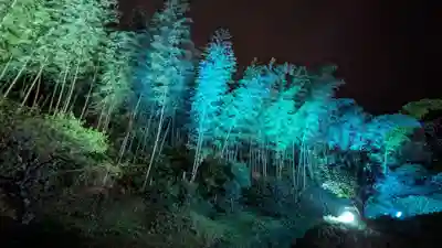 金蛇水神社(宮城県)