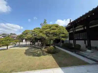 高林寺の{uncategorized: "未分類", other: "その他", undefined: "問題あり", building: "その他建物", grave: "お墓", sacred_gate: "鳥居", guardian: "狛犬", statue: "像", buddha: "仏像", history: "歴史", nature: "自然", garden: "庭園", animal: "動物", pagoda: "塔", temizu: "手水舎", mountain_gate: "山門・神門", sanctuary: "本殿・本堂", subordinate: "末社・摂社", art: "芸術", scenery: "景色", jizo: "地蔵", ema: "絵馬", goshuin: "御朱印", omikuji: "おみくじ", items: "授与品その他", amulet: "お守り", goshuincho: "御朱印帳", eats: "食事", festival: "お祭り", votive_dance: "神楽", shichigosan: "七五三参", wedding: "結婚式", experience: "体験その他", initially: "初詣", around: "周辺", anti_infection: "感染症対策"}