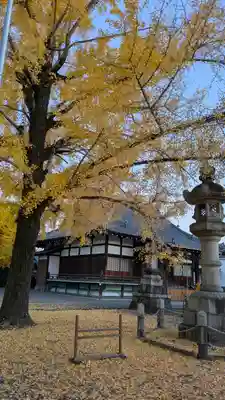 頂妙寺(京都府)