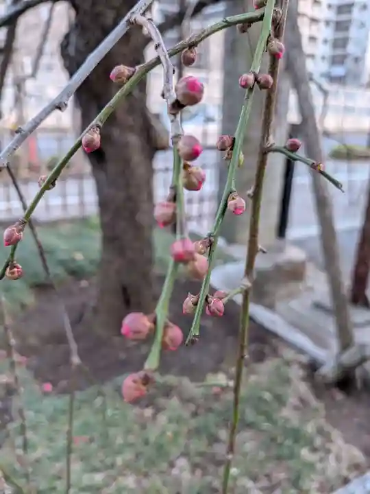 成願寺(東京都)