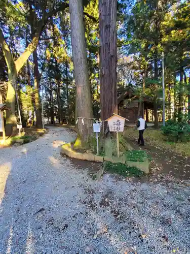 間々田八幡宮(栃木県)