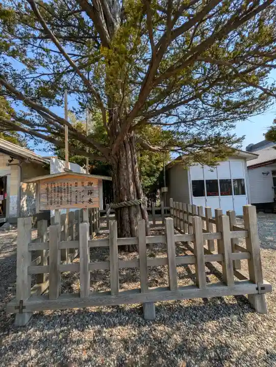 湯倉神社の{uncategorized: "未分類", other: "その他", undefined: "問題あり", building: "その他建物", grave: "お墓", sacred_gate: "鳥居", guardian: "狛犬", statue: "像", buddha: "仏像", history: "歴史", nature: "自然", garden: "庭園", animal: "動物", pagoda: "塔", temizu: "手水舎", mountain_gate: "山門・神門", sanctuary: "本殿・本堂", subordinate: "末社・摂社", art: "芸術", scenery: "景色", jizo: "地蔵", ema: "絵馬", goshuin: "御朱印", omikuji: "おみくじ", items: "授与品その他", amulet: "お守り", goshuincho: "御朱印帳", eats: "食事", festival: "お祭り", votive_dance: "神楽", shichigosan: "七五三参", wedding: "結婚式", experience: "体験その他", initially: "初詣", around: "周辺", anti_infection: "感染症対策"}