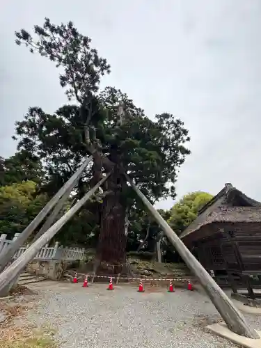 玉若酢命神社(島根県)