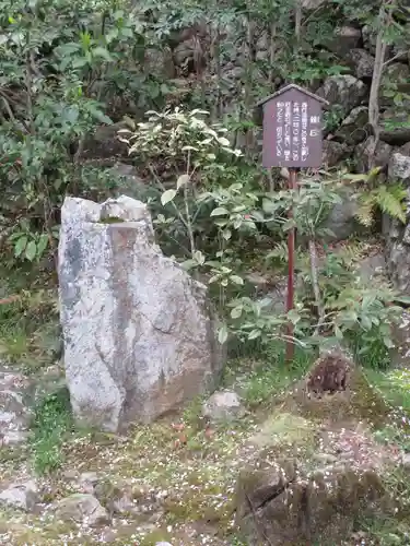 勝持寺（花の寺）の歴史