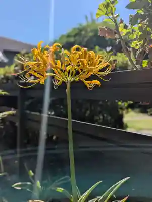 法栄寺(千葉県)