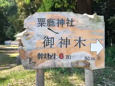 粟鹿神社のその他建物