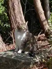 玉野御嶽神社の動物