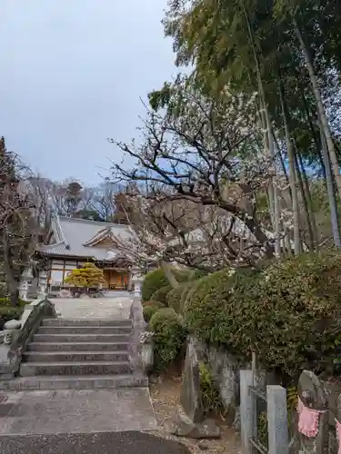 龍散寺(神奈川県)