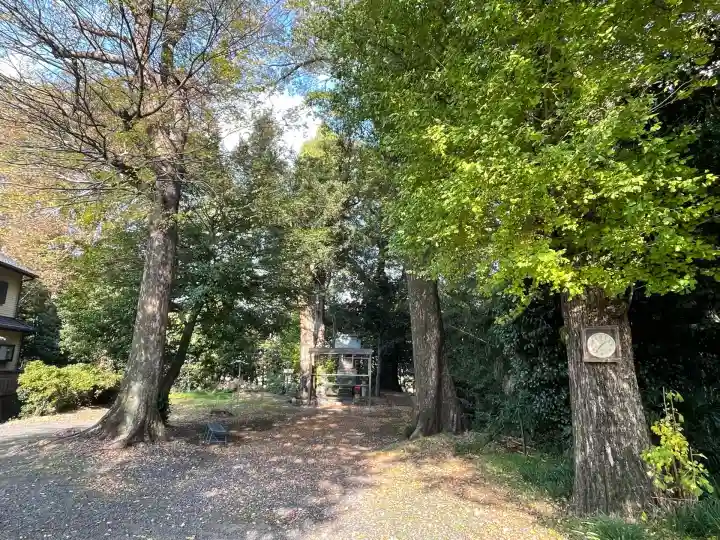 八幡神社(南濃町駒野)(岐阜県)