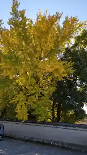 隨心院（随心院）(京都府)