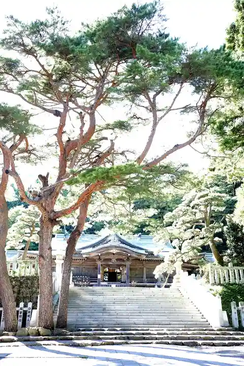 函館八幡宮の自然