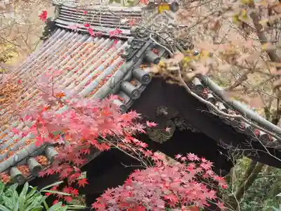 圓光寺のその他建物