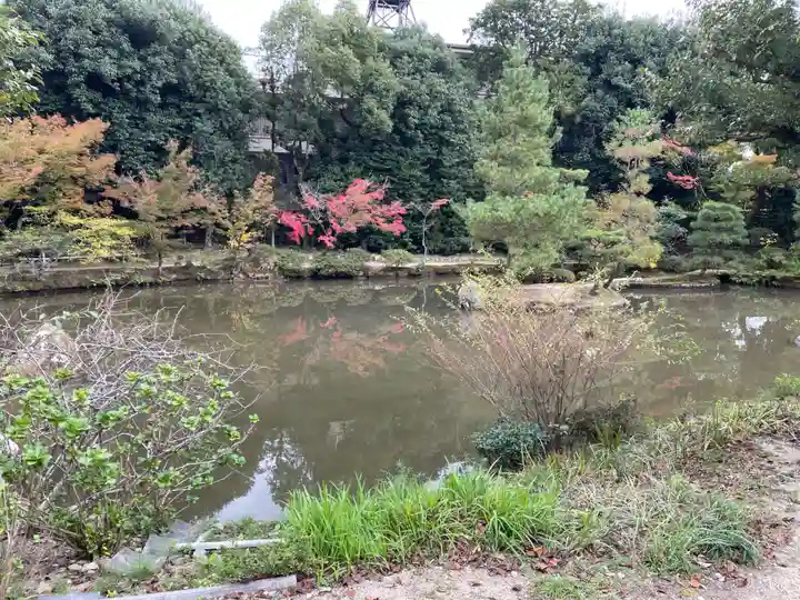 法金剛院(京都府)