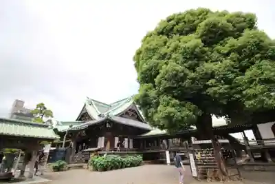 題経寺(柴又帝釈天)(東京都)