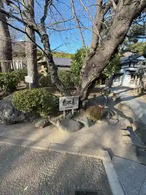 養源寺の{uncategorized: "未分類", other: "その他", undefined: "問題あり", building: "その他建物", grave: "お墓", sacred_gate: "鳥居", guardian: "狛犬", statue: "像", buddha: "仏像", history: "歴史", nature: "自然", garden: "庭園", animal: "動物", pagoda: "塔", temizu: "手水舎", mountain_gate: "山門・神門", sanctuary: "本殿・本堂", subordinate: "末社・摂社", art: "芸術", scenery: "景色", jizo: "地蔵", ema: "絵馬", goshuin: "御朱印", omikuji: "おみくじ", items: "授与品その他", amulet: "お守り", goshuincho: "御朱印帳", eats: "食事", festival: "お祭り", votive_dance: "神楽", shichigosan: "七五三参", wedding: "結婚式", experience: "体験その他", initially: "初詣", around: "周辺", anti_infection: "感染症対策"}
