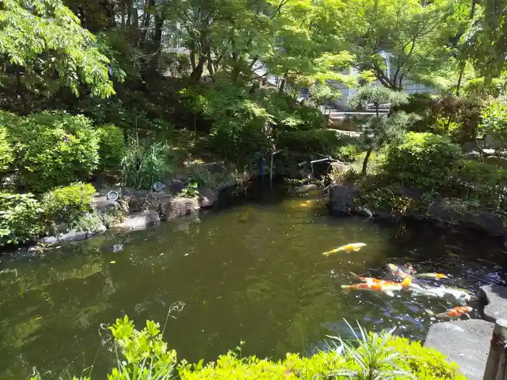 慈眼寺(大阪府)