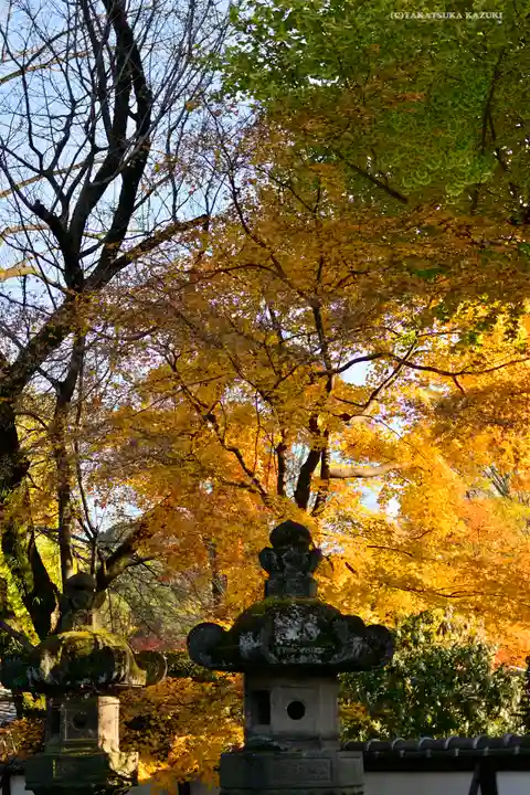 上野東照宮のその他建物