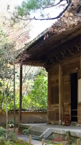 蓮華寺（洛北蓮華寺）(京都府)