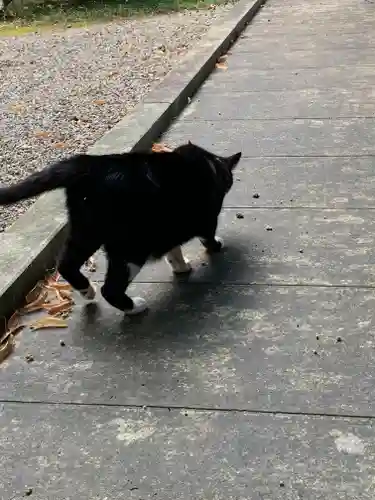 長林寺（西宮長林寺）の動物