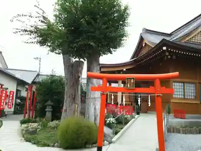 於菊稲荷神社の本殿・本堂