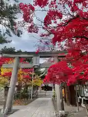 彌彦神社　(伊夜日子神社)(北海道)