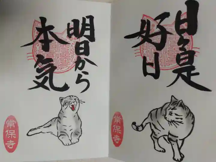 猫一言御朱印まとめプレオーダーがあり拝受。日々是好日。明日から本気。