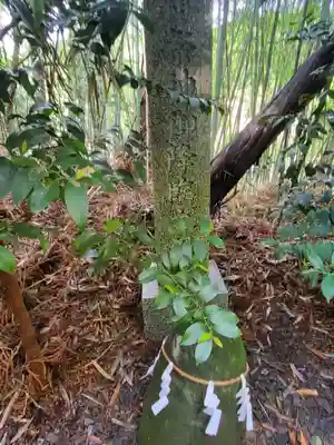 安住神社(栃木県)
