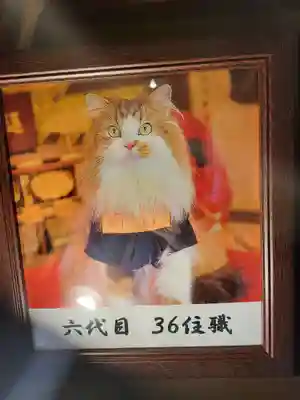 猫猫寺(京都府)
