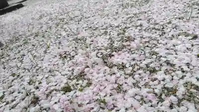 伊豆神社(滋賀県)