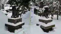 新琴似神社の狛犬