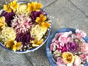 三津厳島神社(愛媛県)(2026年02月06日(金) 20時35分54秒投稿)