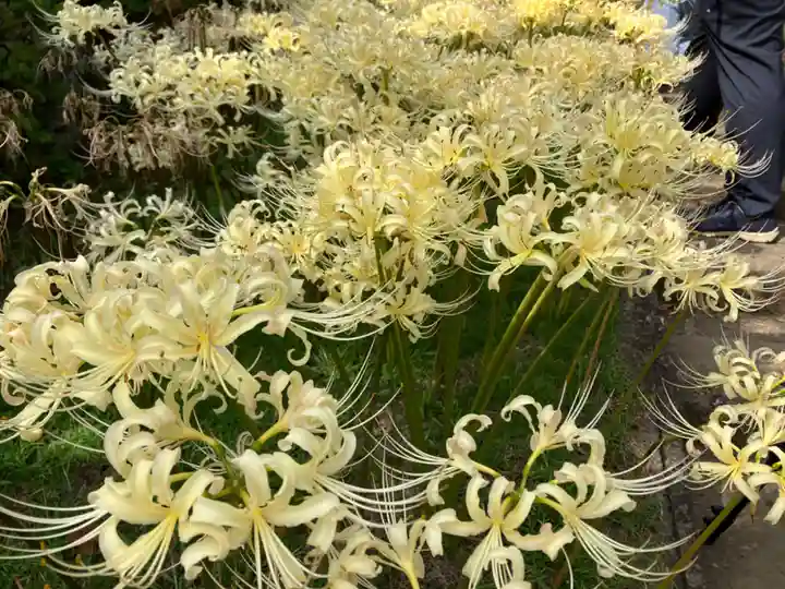 横浜 西方寺(神奈川県)