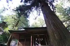 鹿島大神宮の本殿