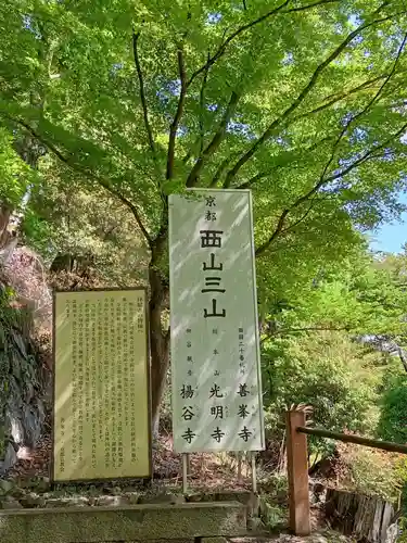 善峯寺(京都府)